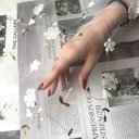 Сетка с вышивкой  и цветами "Белый"