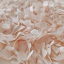 Сетка с цветами гортензия "Кремовый"