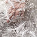 Сетка с вышивкой перья "Молочный"