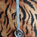 Сатин мерсеризованный принт "Тигр"