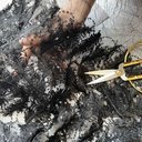 Сетка с вышивкой перья "Черный"