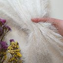 Травка "Молочный"