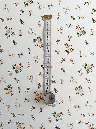 Прадо "Принт 2"